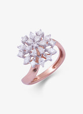 Frost Ring