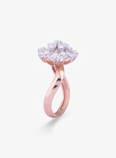 Frost Ring
