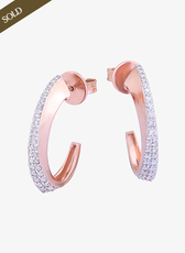 EVERYDAY SPARKLE EARRINGS